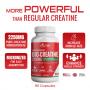 Nutri Botanics Bio Creatine Monohydrate 2250mg – 90 Capsules – Micronized Creatine, Easily Absorbed, Increase Muscle Size & Strength, Quick Muscle Recovery
