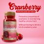 Nutra Botanics Cranberry Fruit Concentrate - 60 Softgel - Cranberry Supplement for Urinary Tract Health, Cleanse & Protect the Urinary Tract – Sugar Free – Just 2 Softgels = 1 Glass of Cranberry Juice