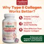 Nutri Botanics Triple Action Joint Collagen with Type II Collagen, Turmeric Curcumin & Hyaluronic Acid – 60 Capsules – Joint Health Supplement, Chondroitin, Vitamin C, Biotin, Healthy Cartilage, Cartilage Degradation